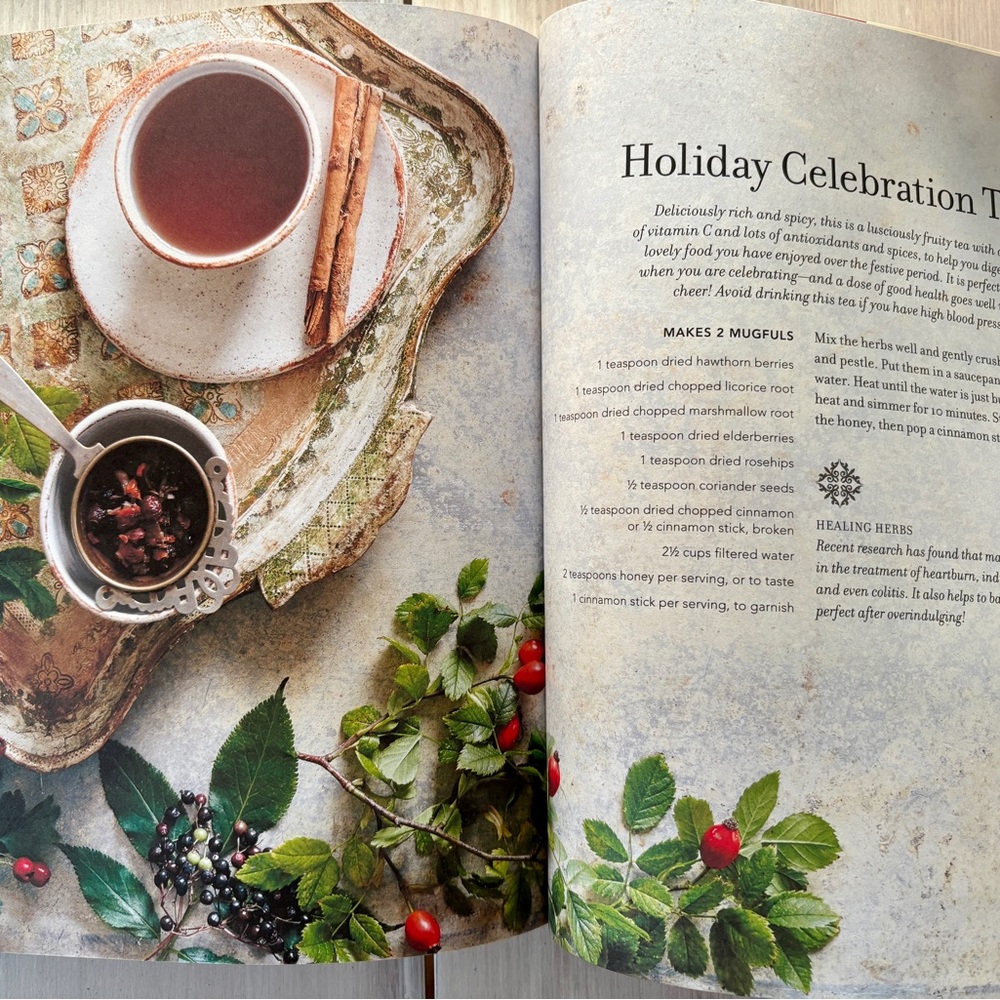NWOT Infuse: Herbal Teas to Cleanse, Nourish & Heal Cookbook by Paula Grainger.